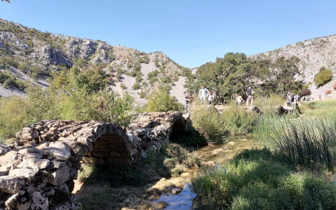 Terenska nastava – Kudin most – manastir Krupa