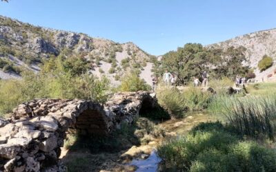 Terenska nastava – Kudin most – manastir Krupa